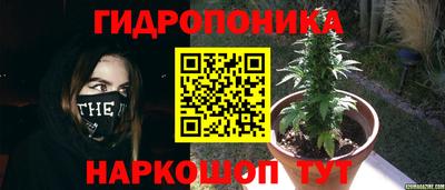 Альфа ПВП Усть-Илимск