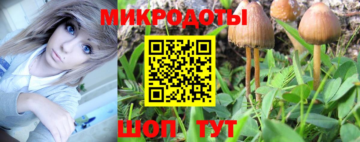 Мончегорск  Галлюциногенные грибы GOLDEN TEACHER  Вход с VPN 